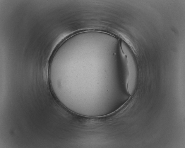 X0000116391275200912291743