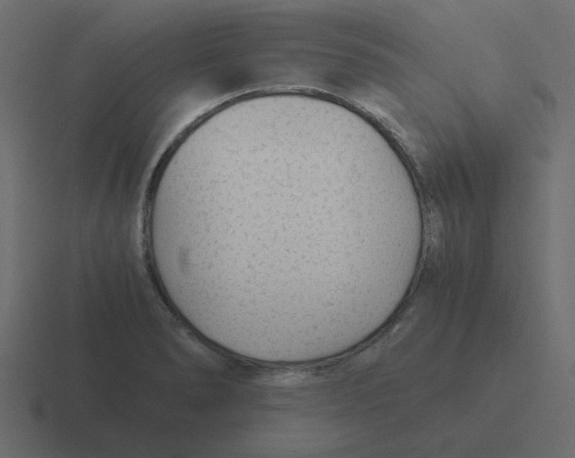 X0000116391278200912291743