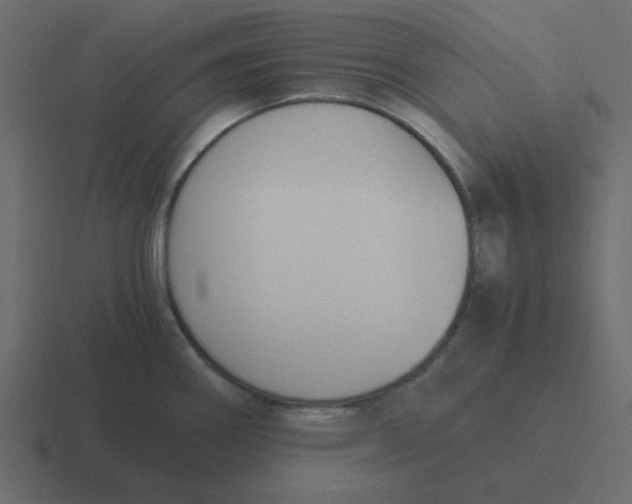 X0000116391290200912291743