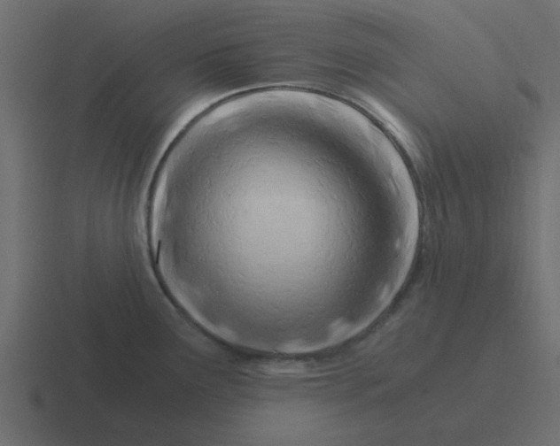 X0000116391291200912291743