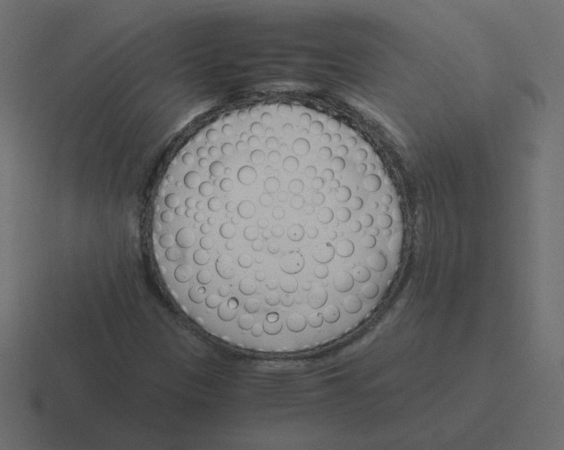 X0000116391305200912291742
