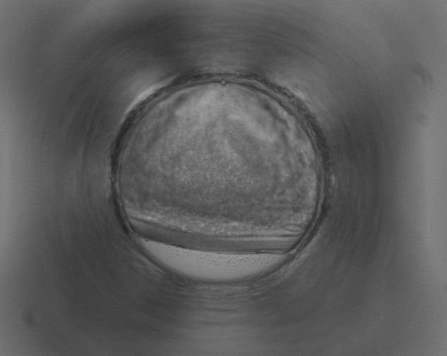 X0000116391306200912291742