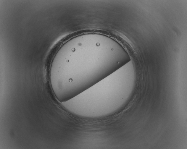 X0000116391310200912291742