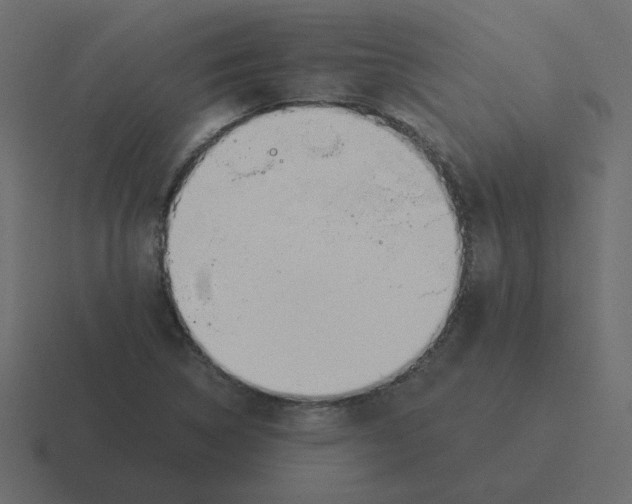 X0000116391314200912291742