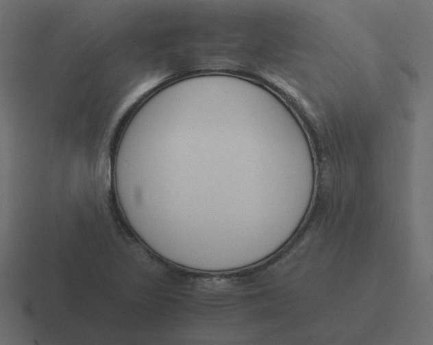 X0000116391317200912291742