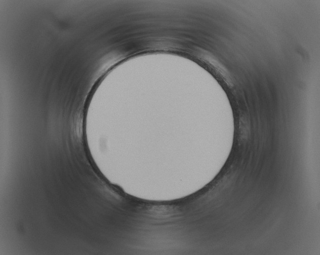 X0000116391322200912291742