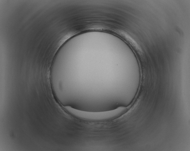 X0000116391329200912291742