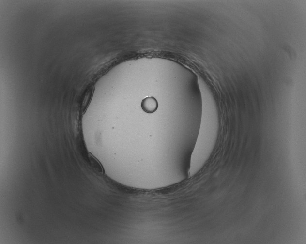 X0000116391348200912291742