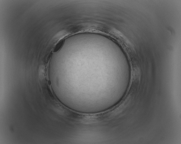 X0000116391353200912291742