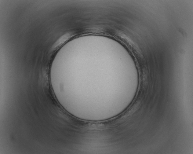 X0000116391354200912291742