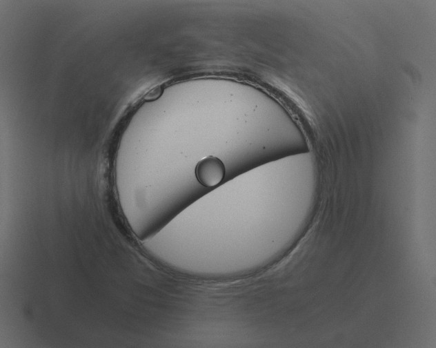 X0000116391357200912291742