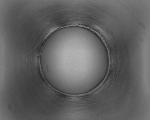 X0000116391361200912291742