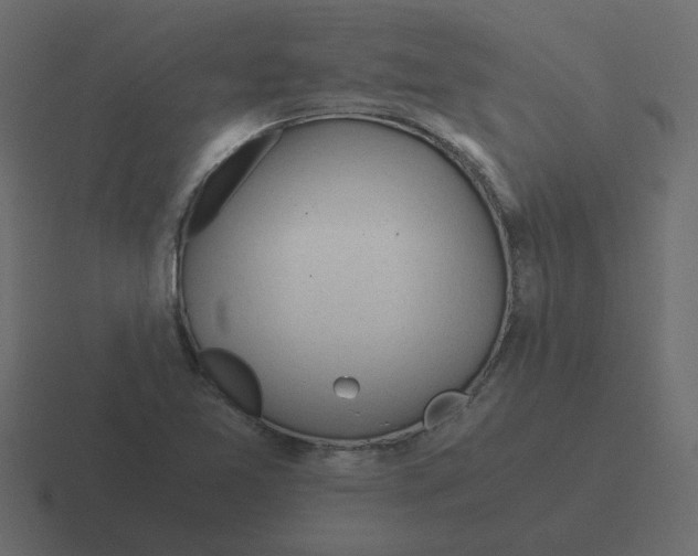 X0000116391365200912291742