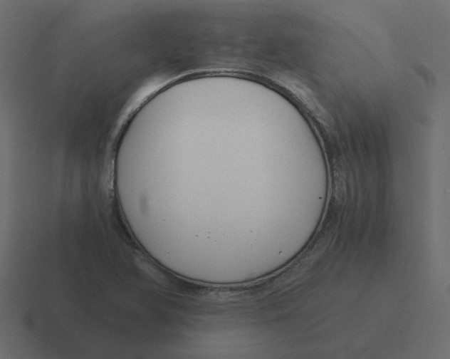 X0000116391366200912291742