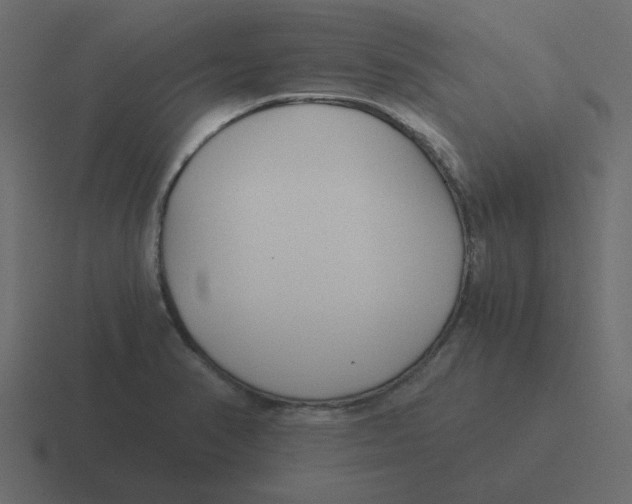 X0000116391374200912291742