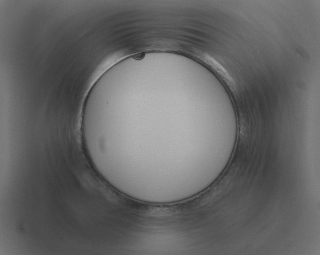 X0000116391378200912291742