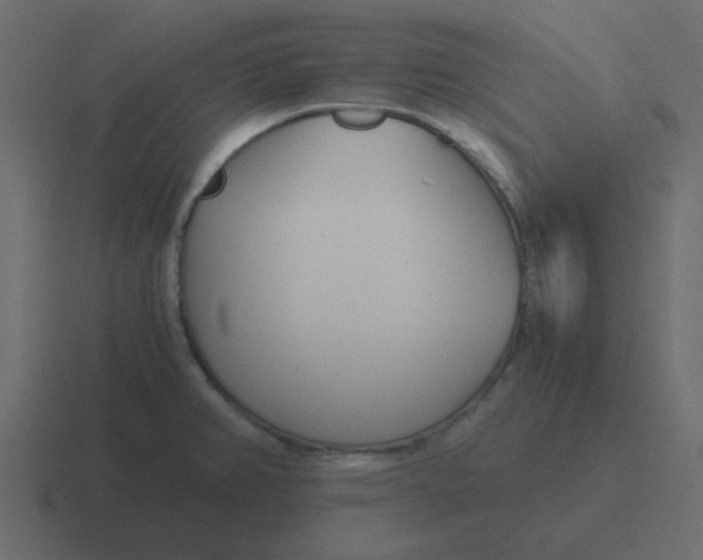 X0000116391382200912291742