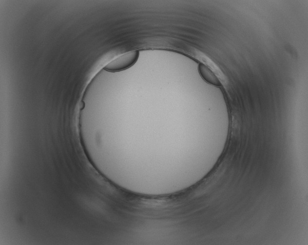 X0000116391386200912291742