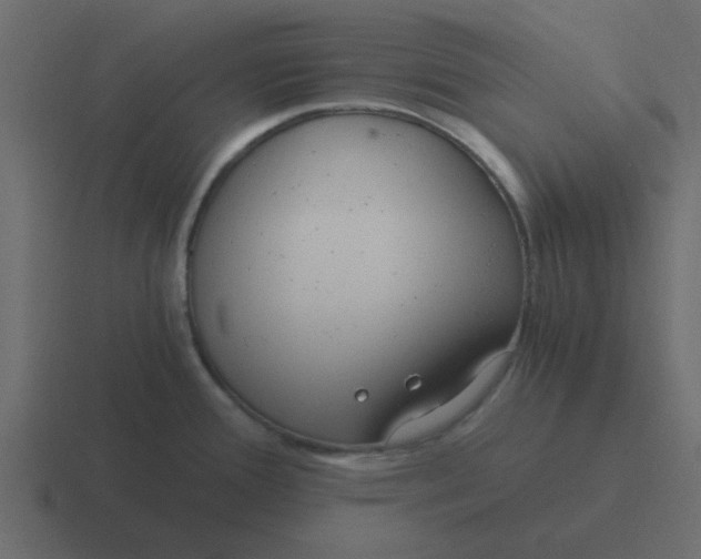 X0000116391388200912291741