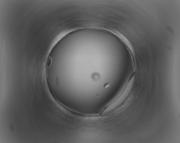 X0000116391389200912291741