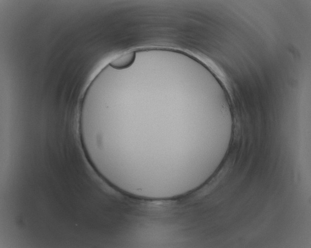 X0000116391390200912291741