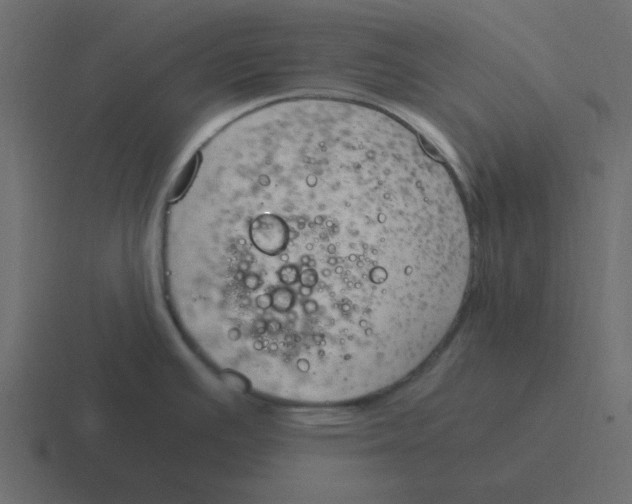 X0000116391391200912291741