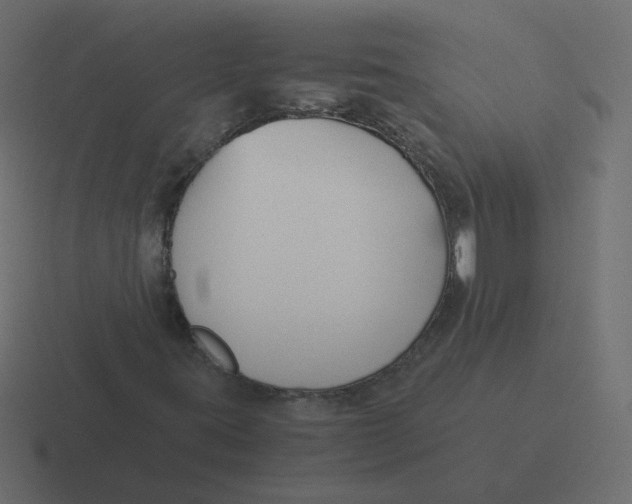 X0000116391395200912291741