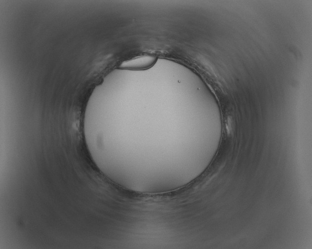 X0000116391396200912291741