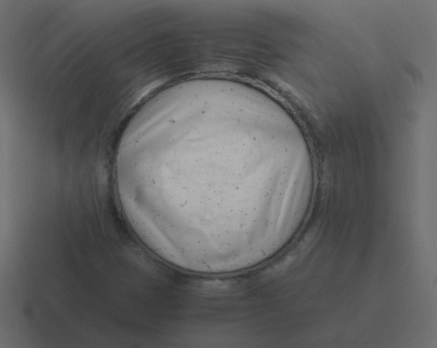 X0000116391401200912291741