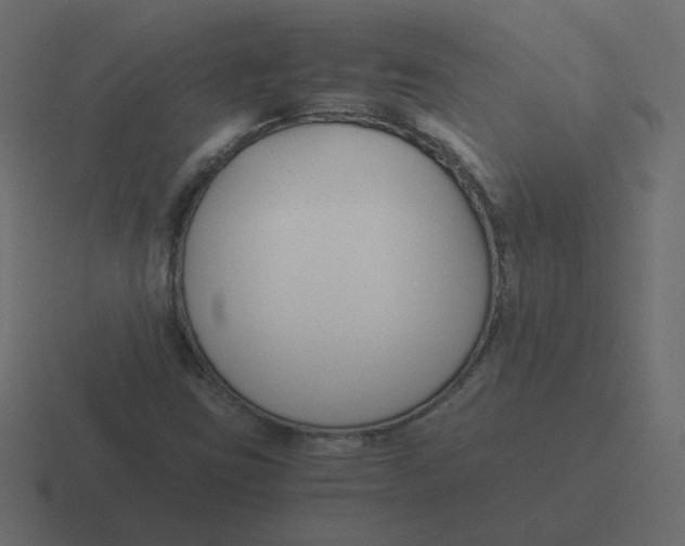 X0000116391403200912291741