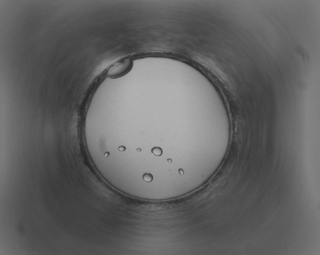 X0000116391404200912291741