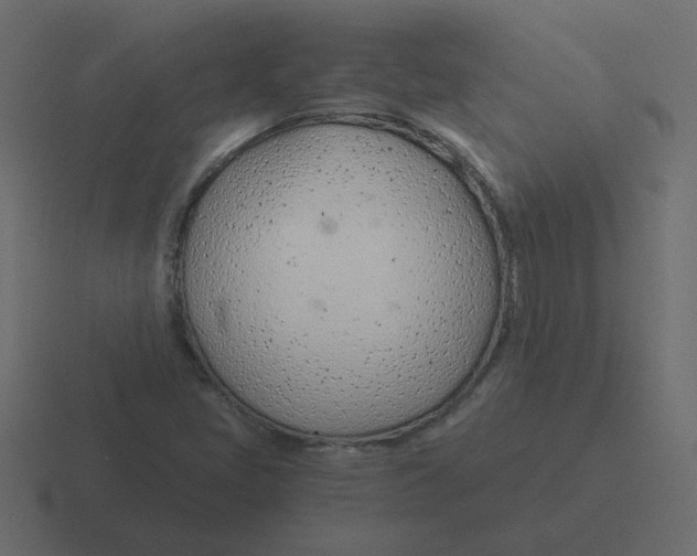 X0000116391405200912291741