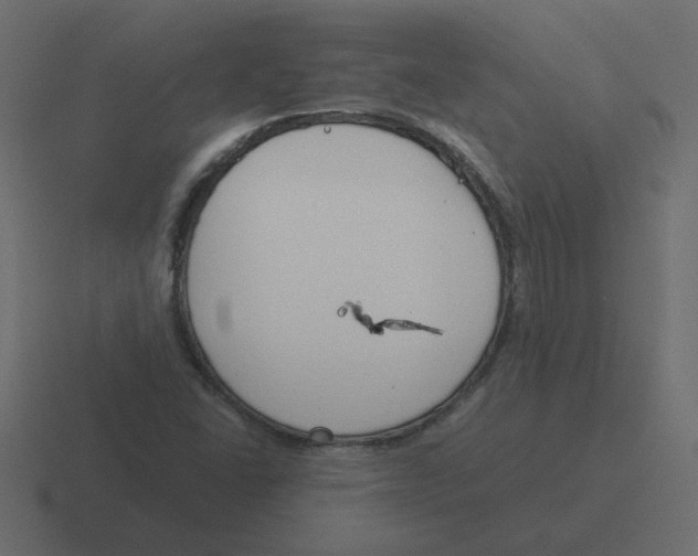 X0000116391406200912291741