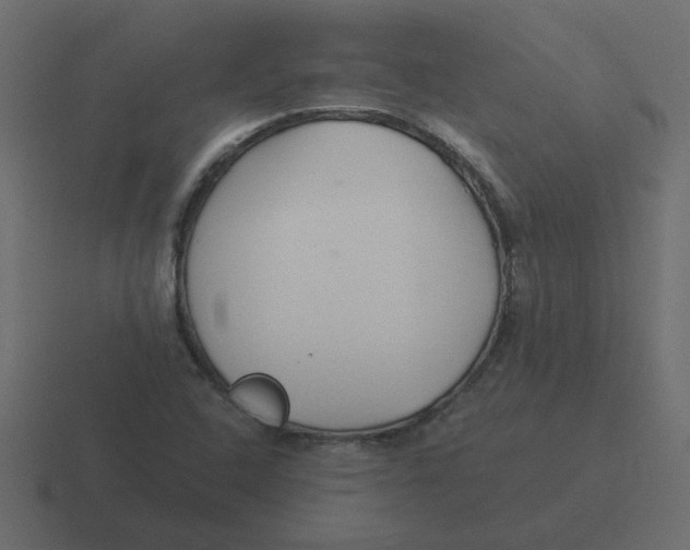 X0000116391408200912291741