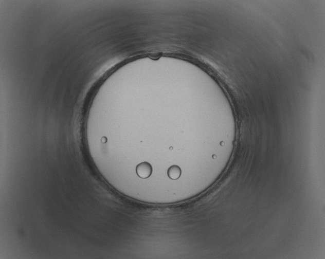 X0000116391410200912291741