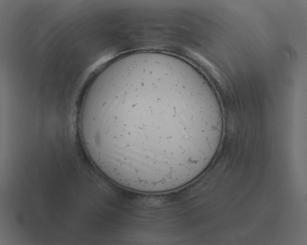 X0000116391411200912291741