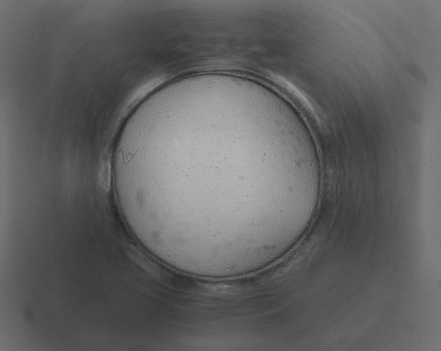 X0000116391413200912291741