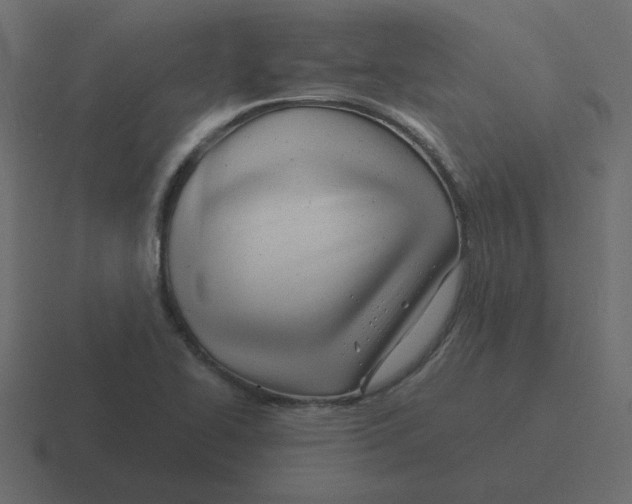 X0000116391414200912291741