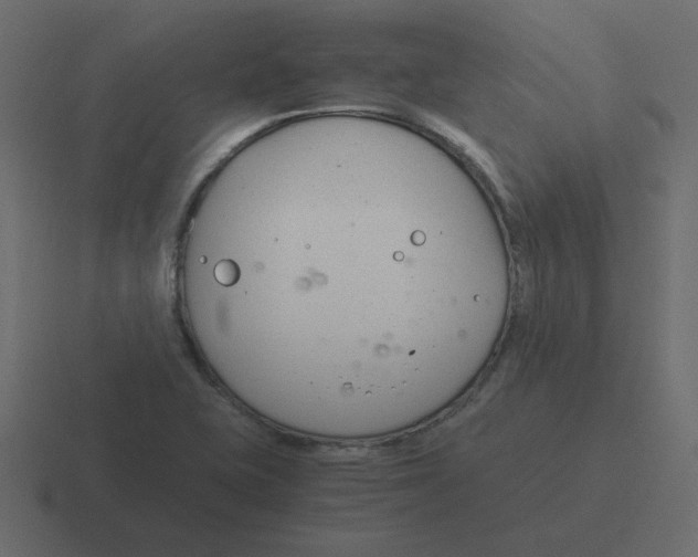 X0000116391415200912291741