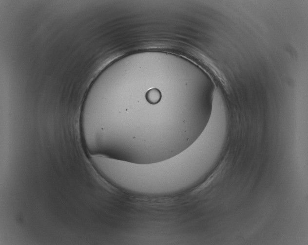 X0000116391417200912291741