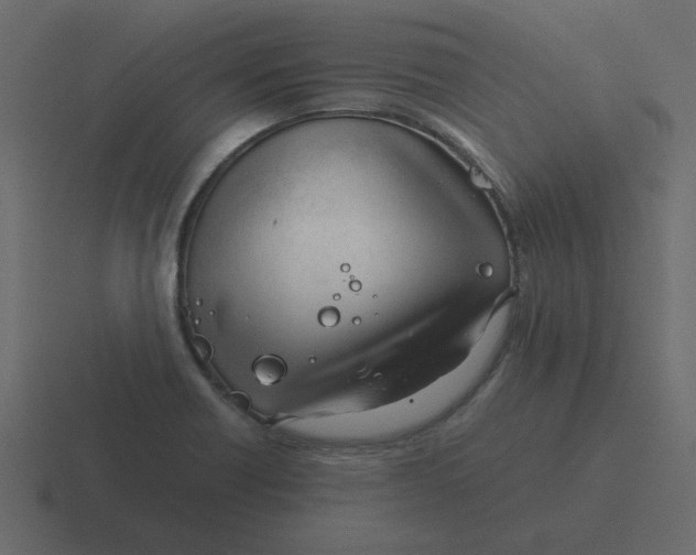 X0000116391418200912291741