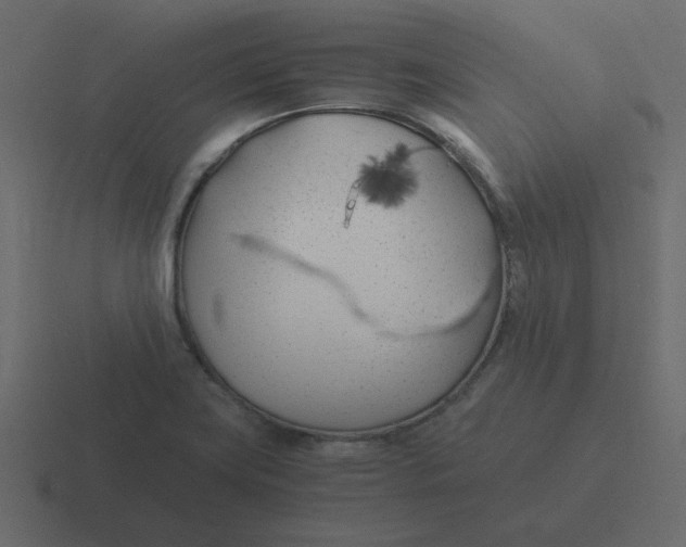 X0000116391419200912291741