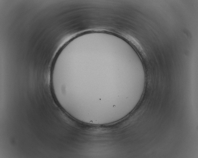 X0000116391420200912291741