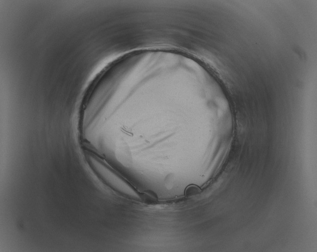 X0000116391422200912291741