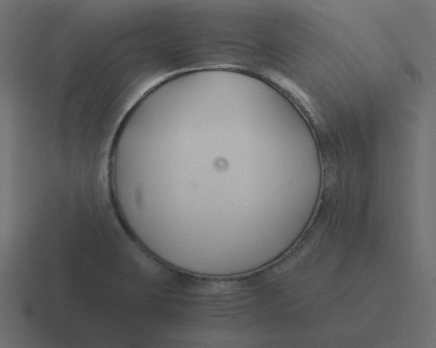 X0000116391423200912291741