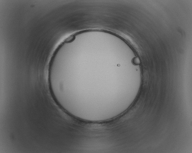 X0000116391424200912291741