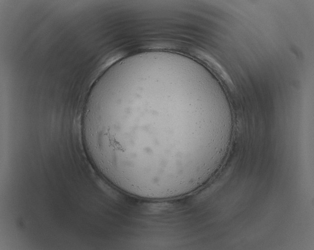 X0000116391425200912291741