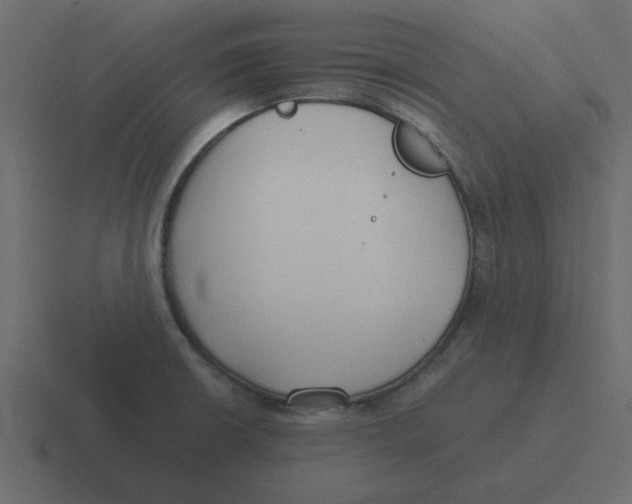 X0000116391426200912291741