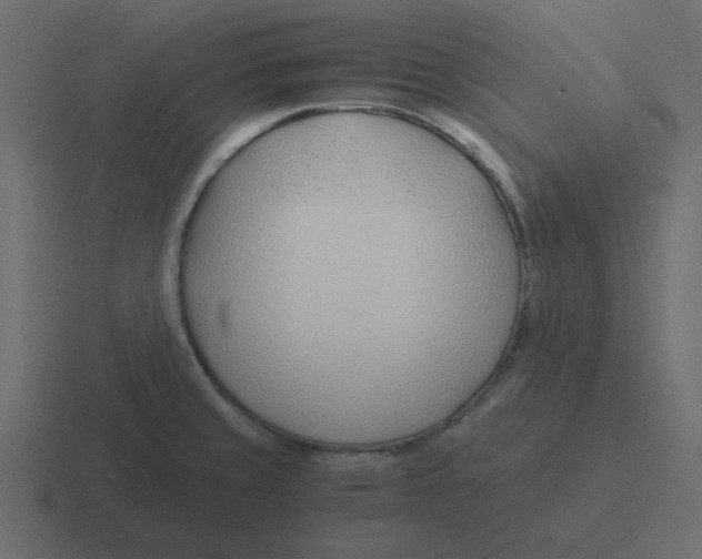 X0000116391429200912291741