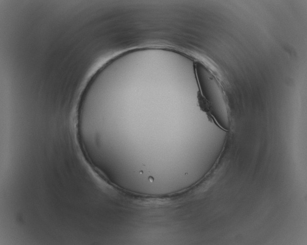 X0000116391430200912291741